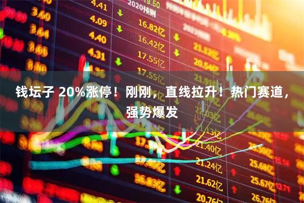 钱坛子 20%涨停！刚刚，直线拉升！热门赛道，强势爆发