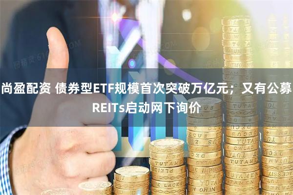 尚盈配资 债券型ETF规模首次突破万亿元；又有公募REITs启动网下询价