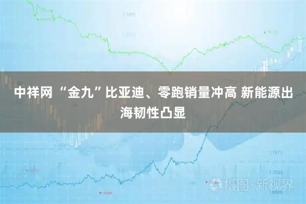 中祥网 “金九”比亚迪、零跑销量冲高 新能源出海韧性凸显