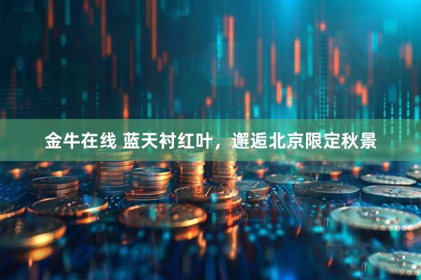 金牛在线 蓝天衬红叶，邂逅北京限定秋景
