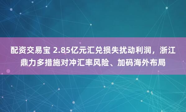 配资交易宝 2.85亿元汇兑损失扰动利润，浙江鼎力多措施对冲汇率风险、加码海外布局