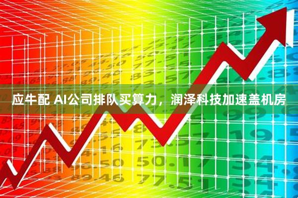 应牛配 AI公司排队买算力，润泽科技加速盖机房