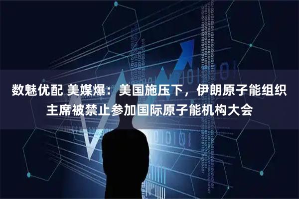 数魅优配 美媒爆:美国施压下,伊朗原子能组织主席被禁止参加国际原子能机构大会